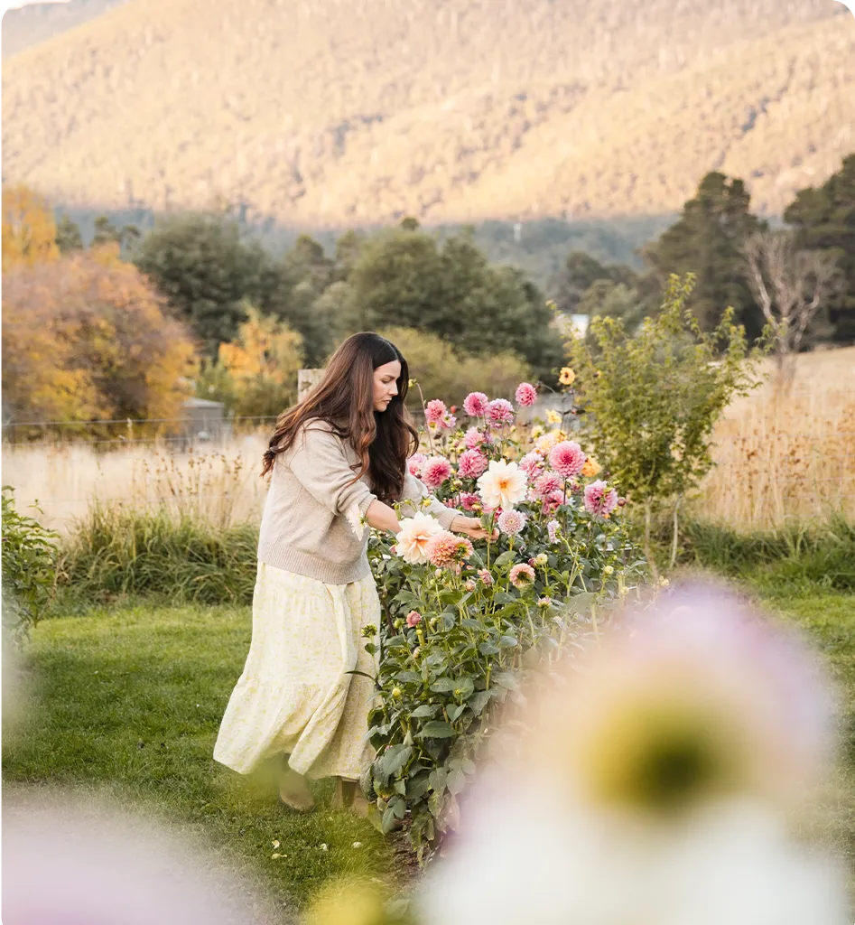 image related to Join the public  for picking sessions.
