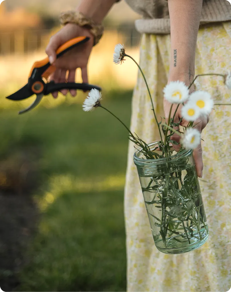 image related to Book a private picking session for your group.
