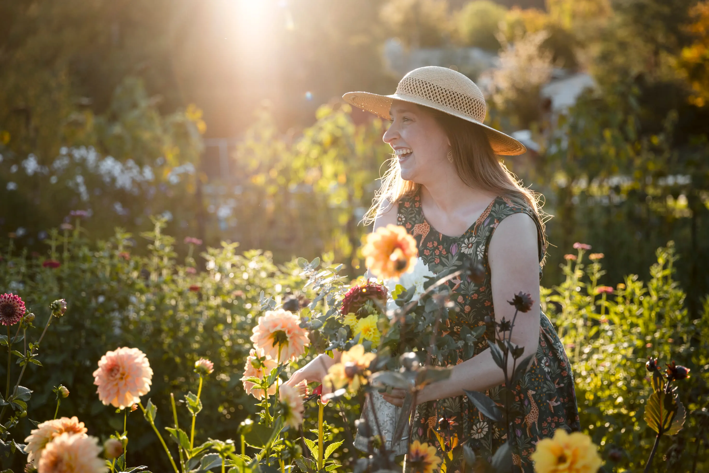 photo of Our Gallery