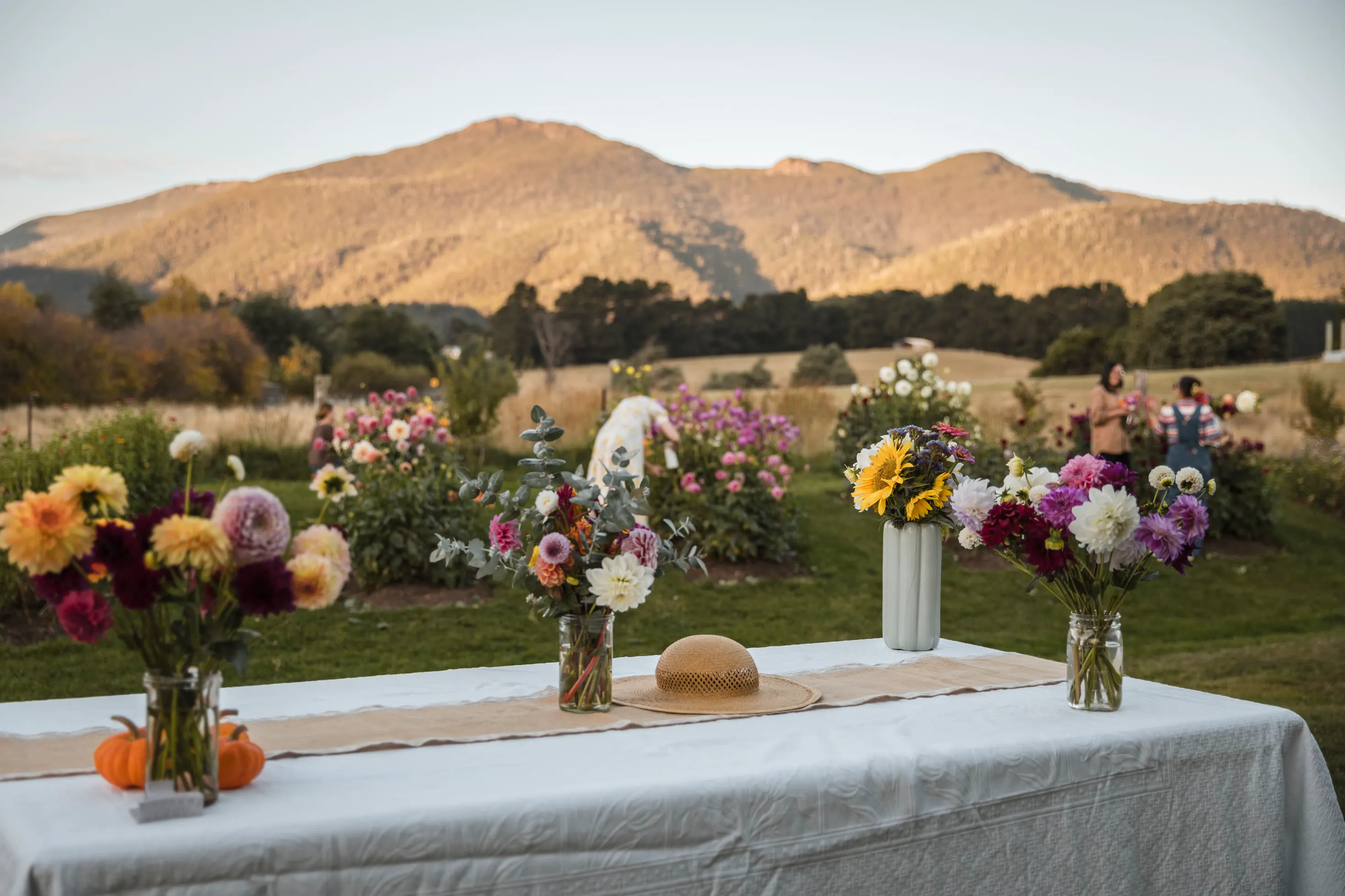 photo of Our Gallery