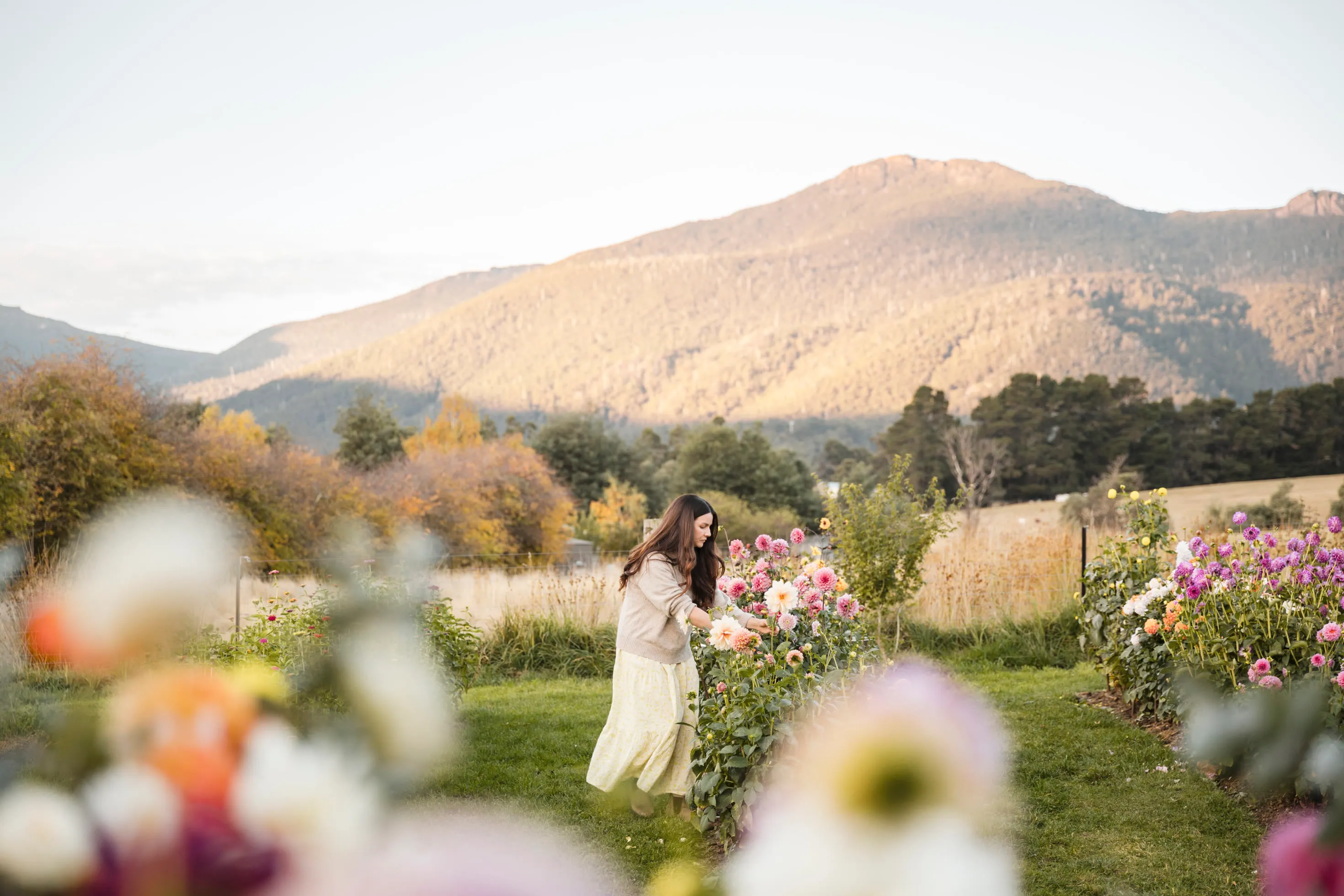 photo of Our Gallery