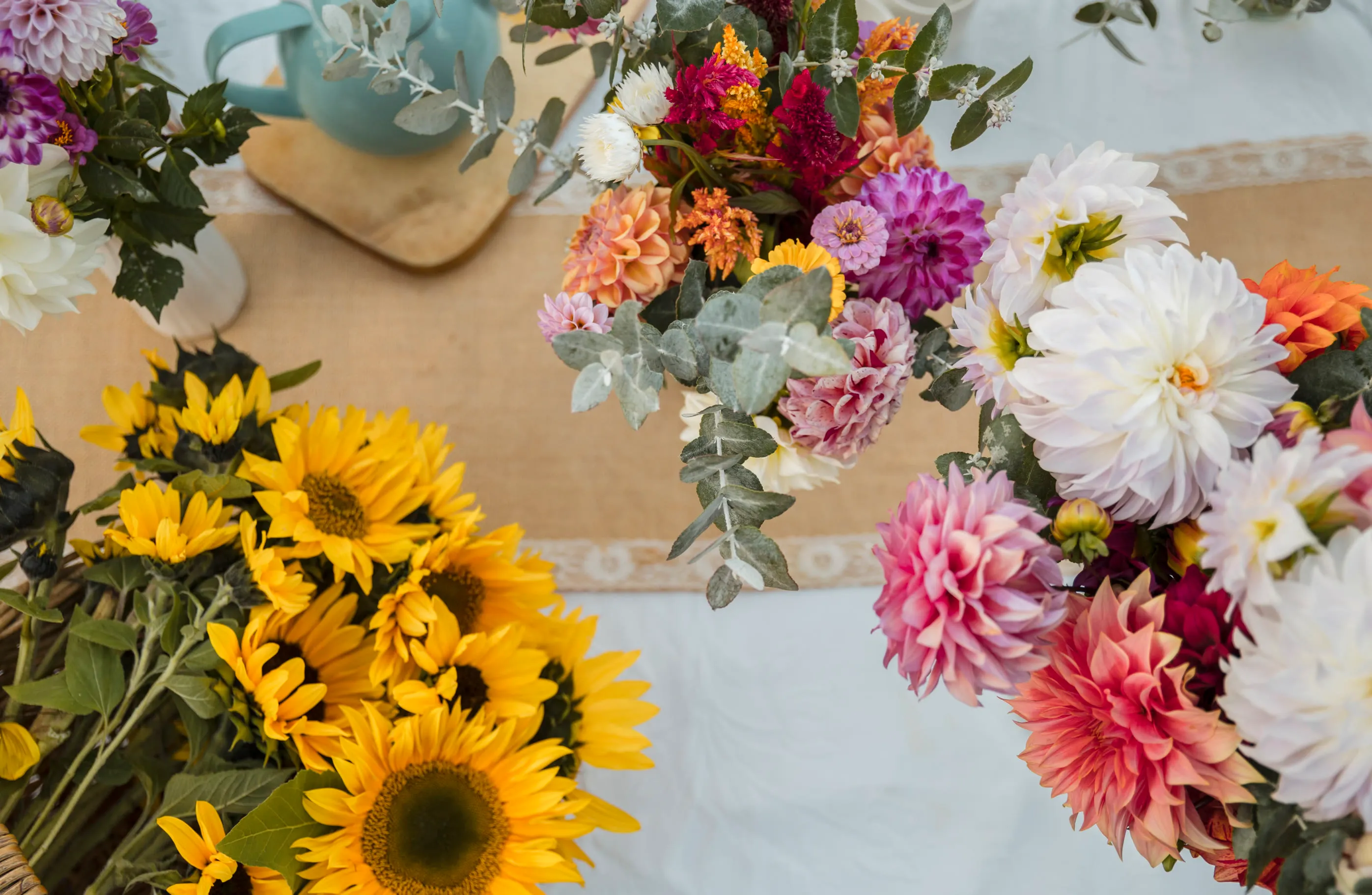 photo of Our Gallery