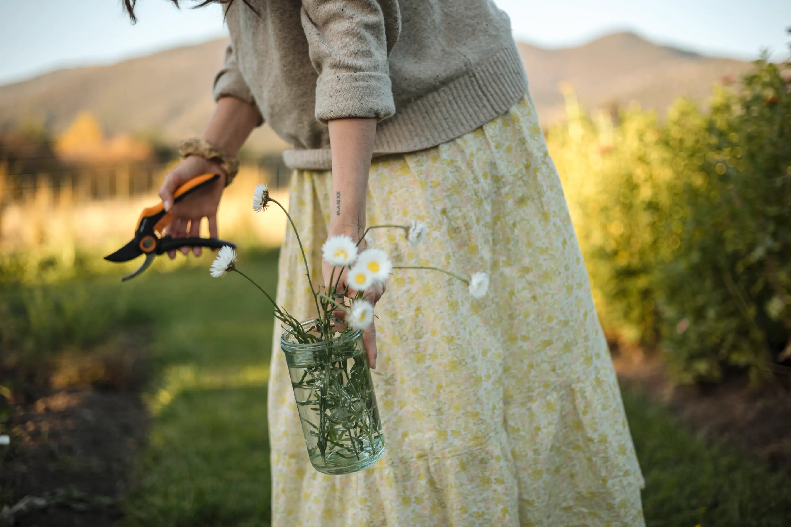 photo of Our Gallery